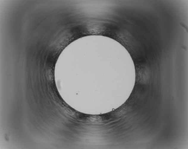 X0000100400317200806271426
