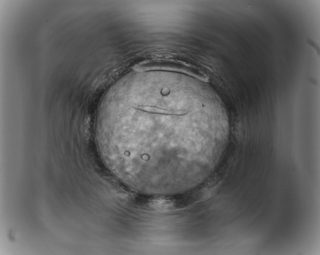 X0000100400319200806271426
