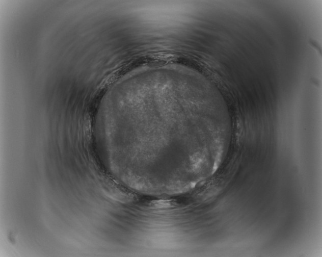 X0000100400320200806271426