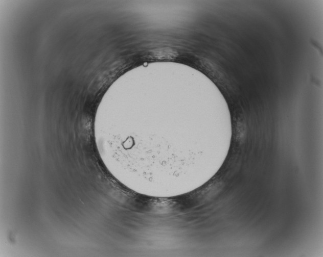 X0000100400321200806271426