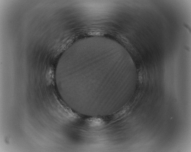 X0000100400322200806271426