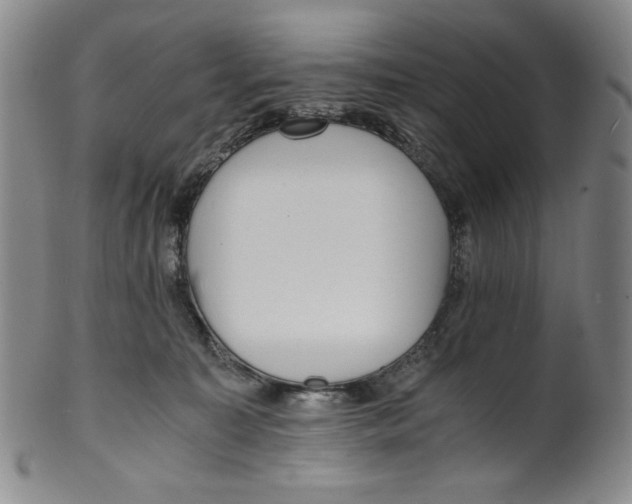 X0000100400323200806271426