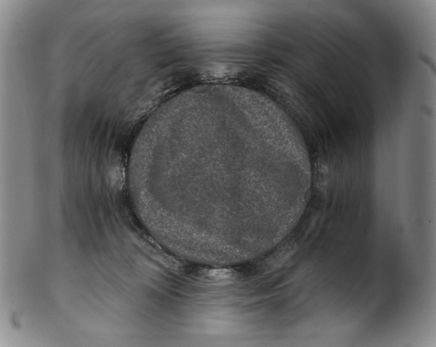 X0000100400324200806271426
