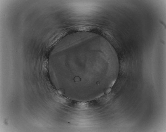 X0000100400325200806271426