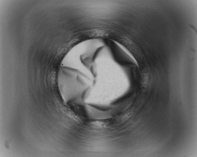 X0000100400326200806271426