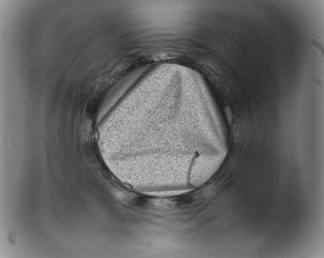 X0000100400327200806271426