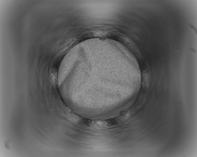 X0000100400329200806271426