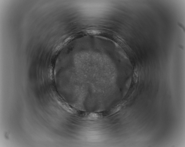 X0000100400330200806271426
