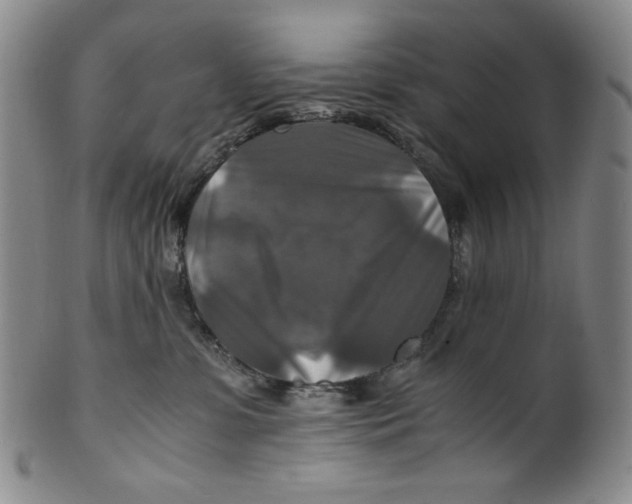 X0000100400331200806271426