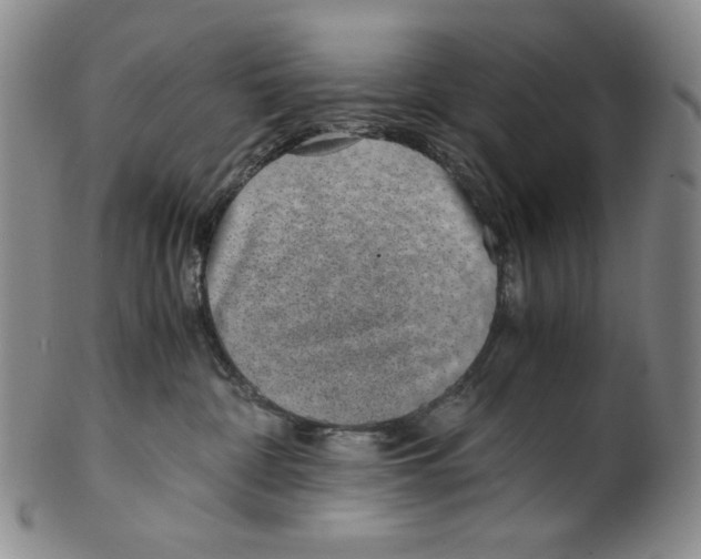 X0000100400332200806271426