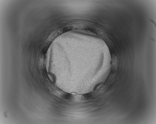 X0000100400333200806271426
