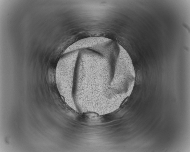 X0000100400335200806271426