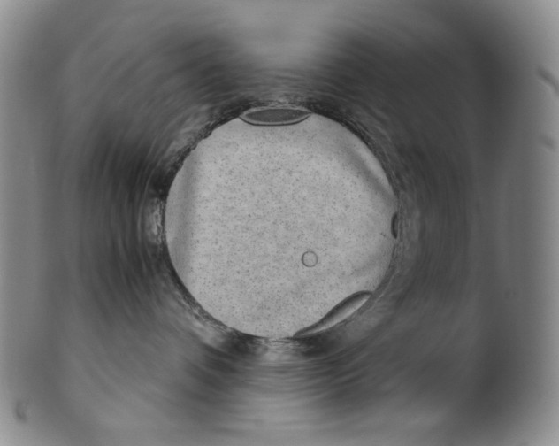 X0000100400336200806271426