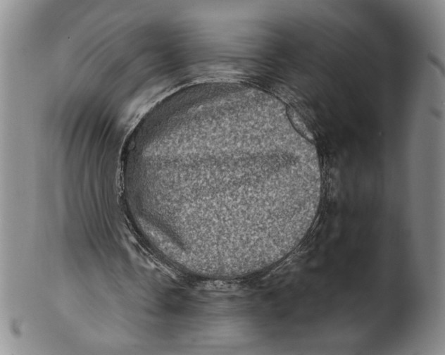 X0000100400338200806271425