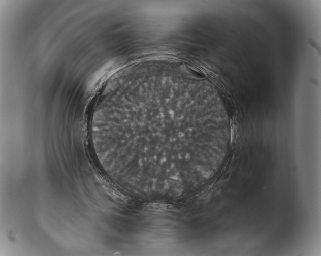X0000100400339200806271425