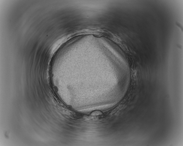 X0000100400340200806271425