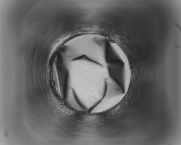 X0000100400342200806271426