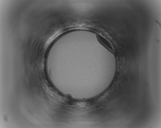 X0000100400344200806271426