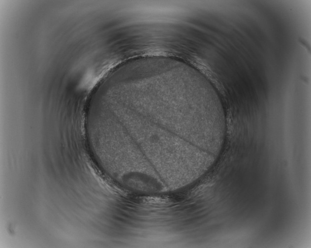 X0000100400347200806271426