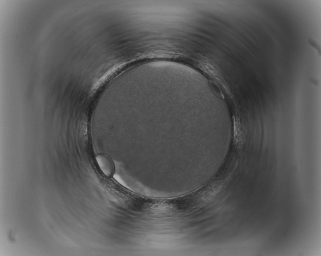 X0000100400348200806271426