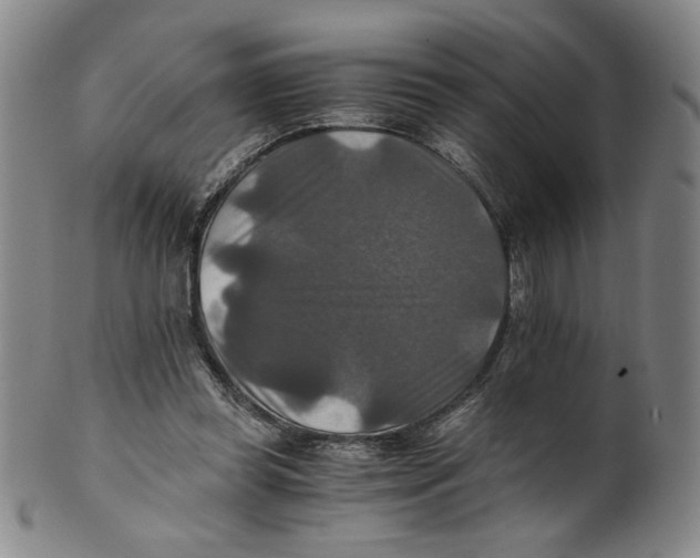 X0000100400349200806271426