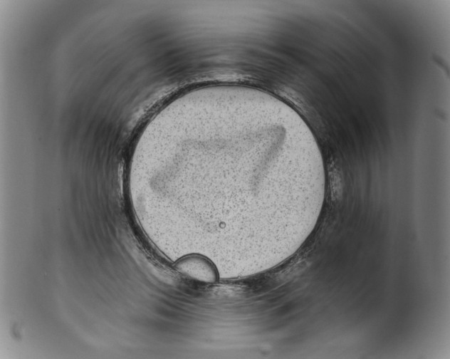 X0000100400350200806271426