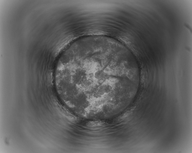 X0000100400351200806271426
