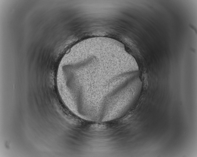 X0000100400354200806271426