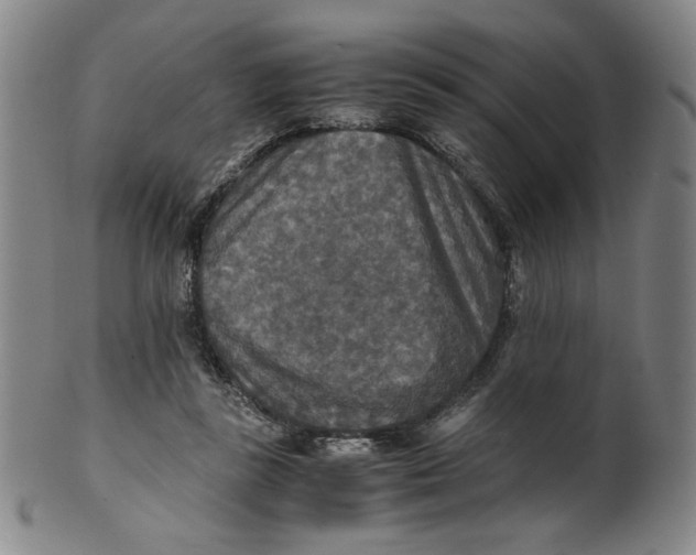 X0000100400355200806271426