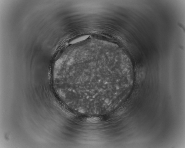 X0000100400357200806271426