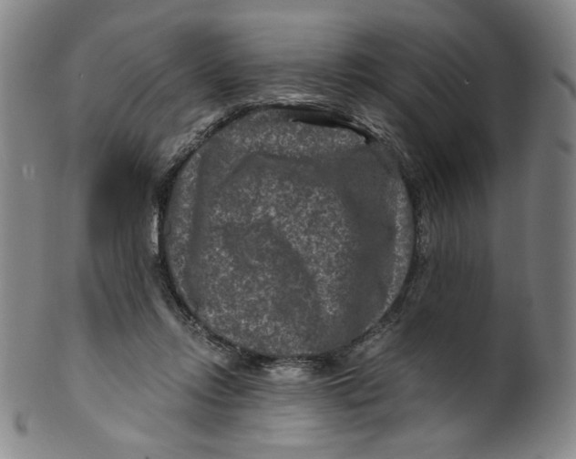 X0000100400358200806271426