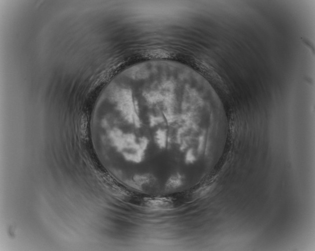 X0000100400359200806271426