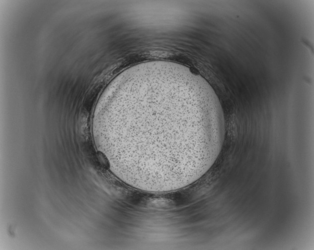 X0000100400360200806271426