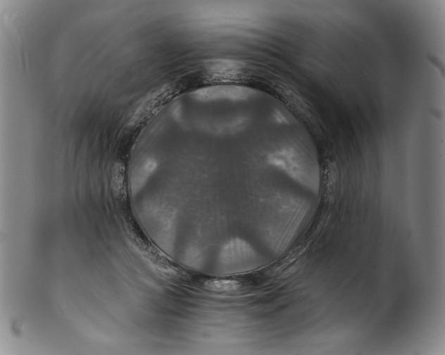 X0000100400361200806271426