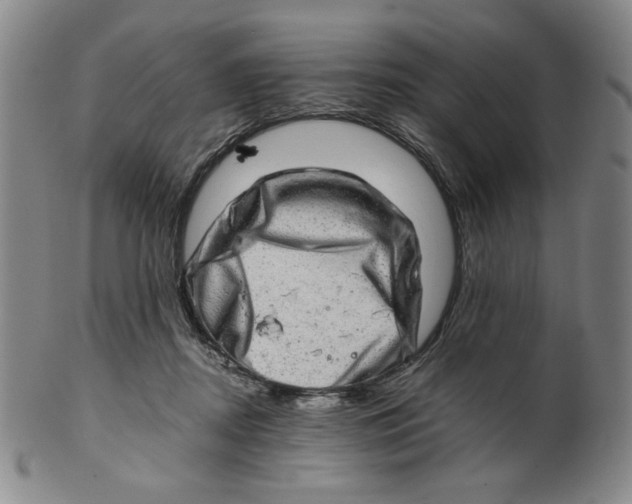 X0000100400362200806271426