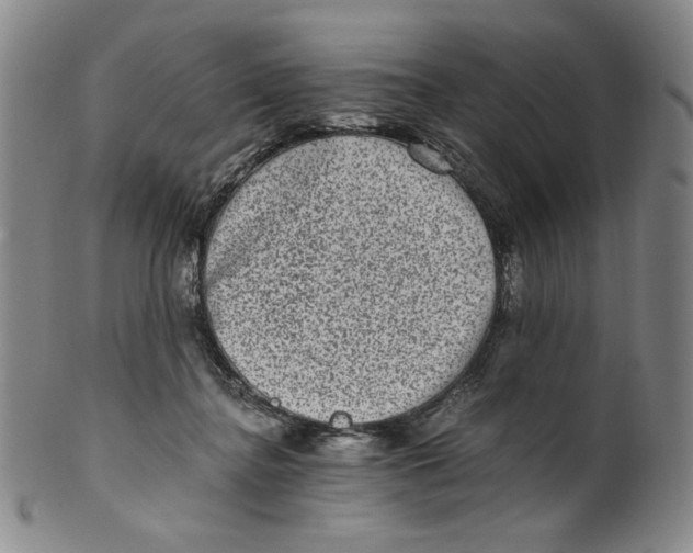 X0000100400364200806271426