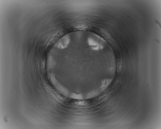 X0000100400365200806271426