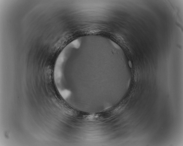 X0000100400366200806271426