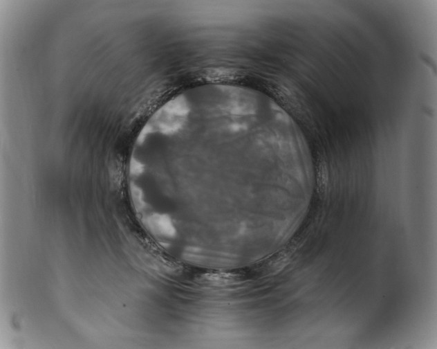 X0000100400367200806271426