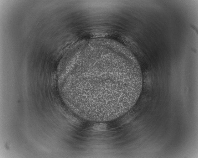 X0000100400369200806271426