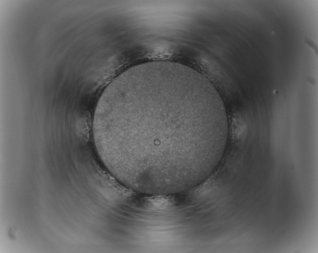 X0000100400370200806271426