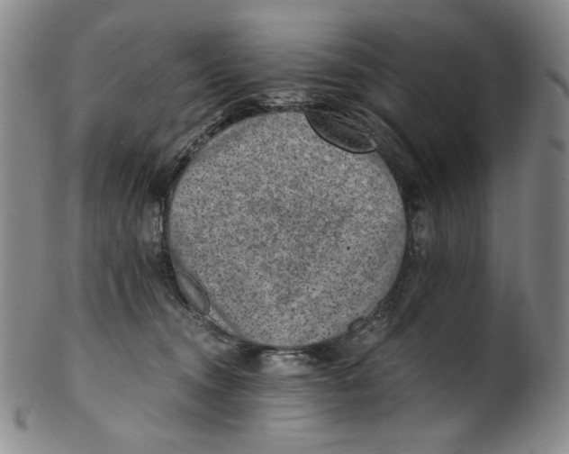 X0000100400372200806271426