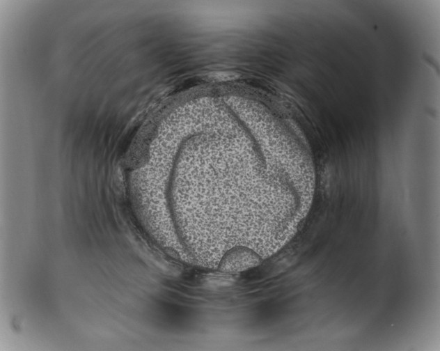 X0000100400373200806271426