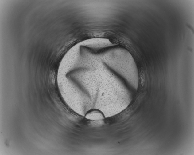 X0000100400374200806271426