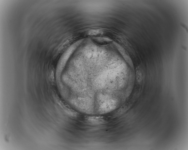 X0000100400375200806271426