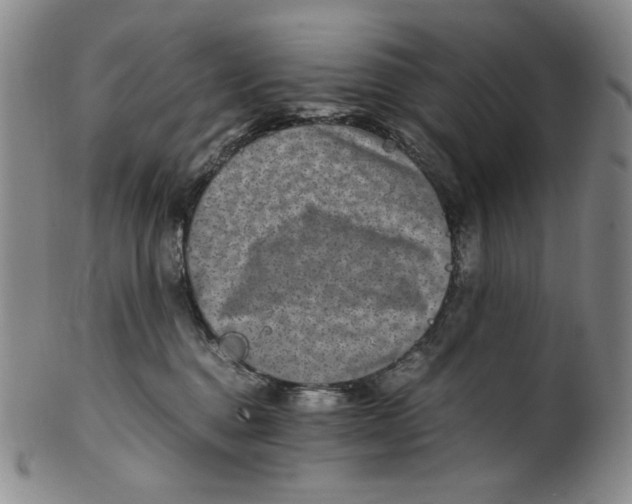 X0000100400376200806271426