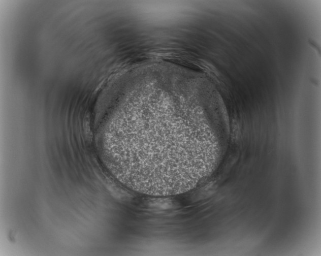 X0000100400377200806271426