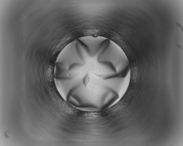 X0000100400378200806271426