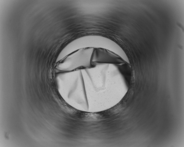 X0000100400379200806271426
