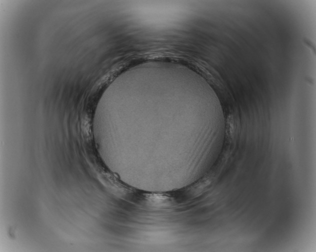 X0000100400380200806271426
